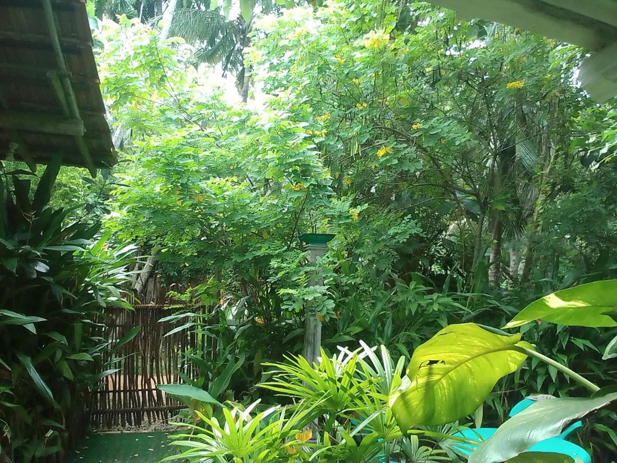 Hiriketiya Mahi Surf Apartment Dikwella Bagian luar foto
