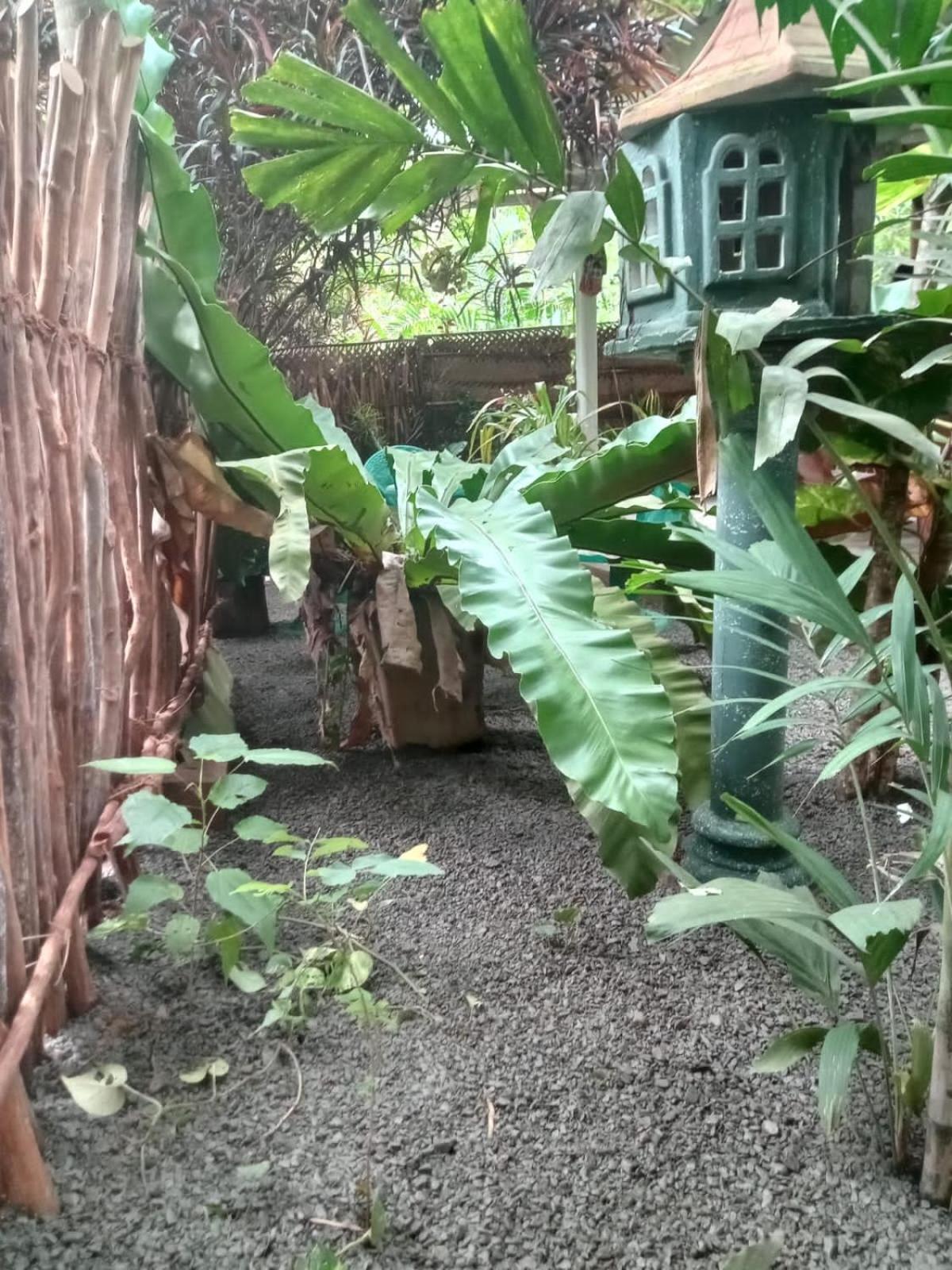 Hiriketiya Mahi Surf Apartment Dikwella Bagian luar foto