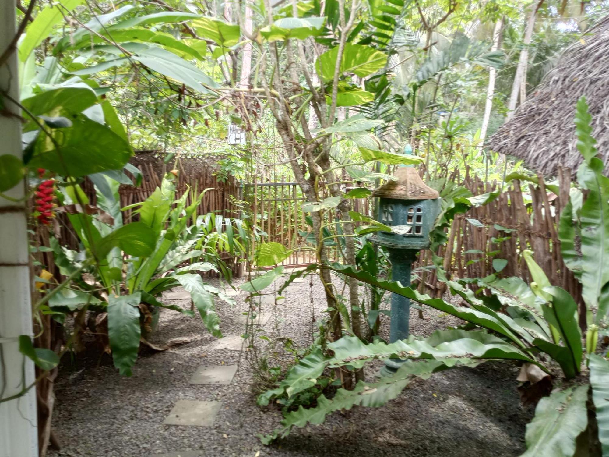 Hiriketiya Mahi Surf Apartment Dikwella Bagian luar foto